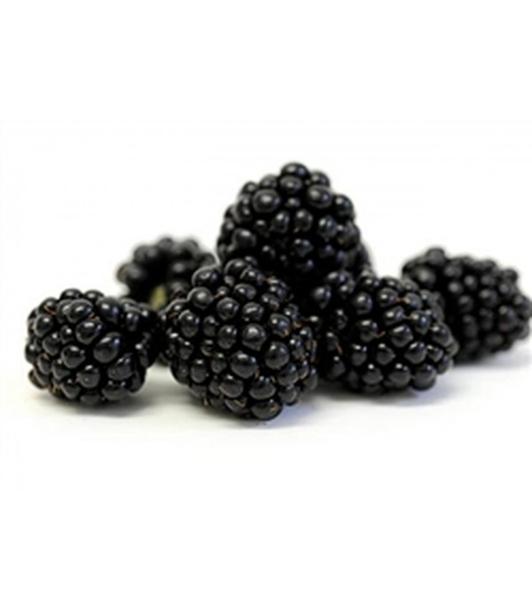 Blackberry